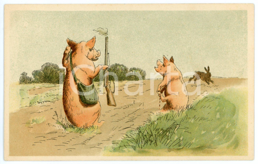 1905 ca ANIMALS Hunter pigs hunting a rabbit - Anthropomorphic postcard  Cartolina postale d'epoca, non viaggiata.CONDIZIONI: GFORMATO: FP    originale e autentica 1
