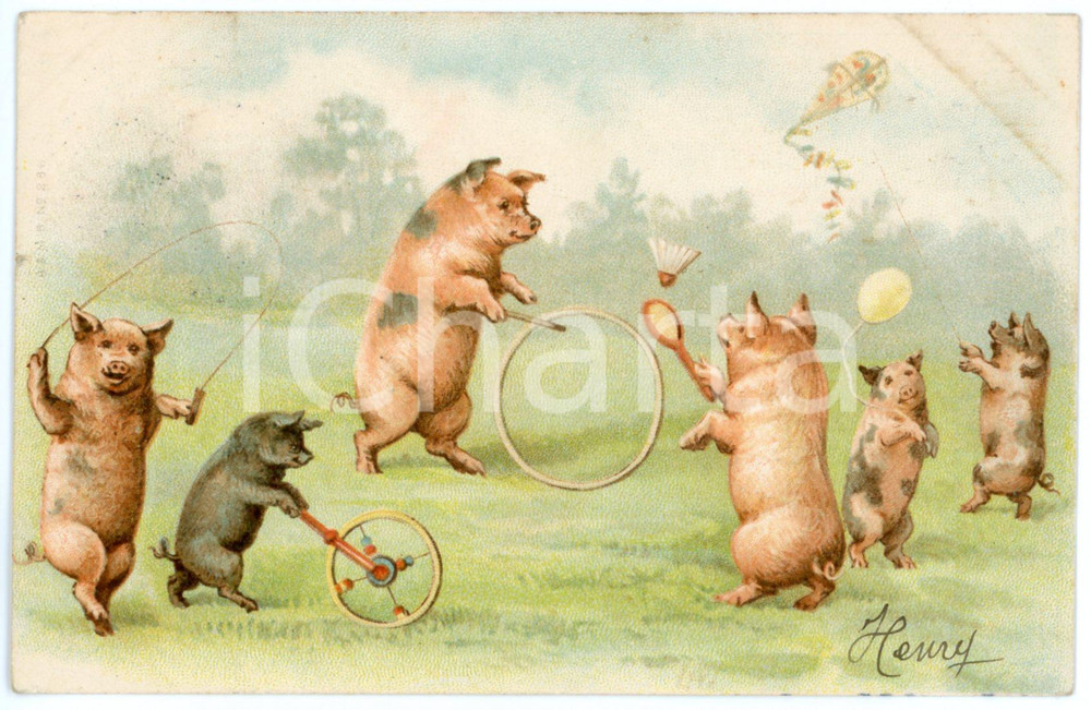 1904 ANIMALS Pig family playing battledore and with hoop - Vintage postcard  Cartolina postale d'epoca, viaggiata.CONDIZIONI: F (piccolo strappo al lato sinistro; ingiallimenti all'angolo superiore destro)FORMATO: FP    originale e autentica 1