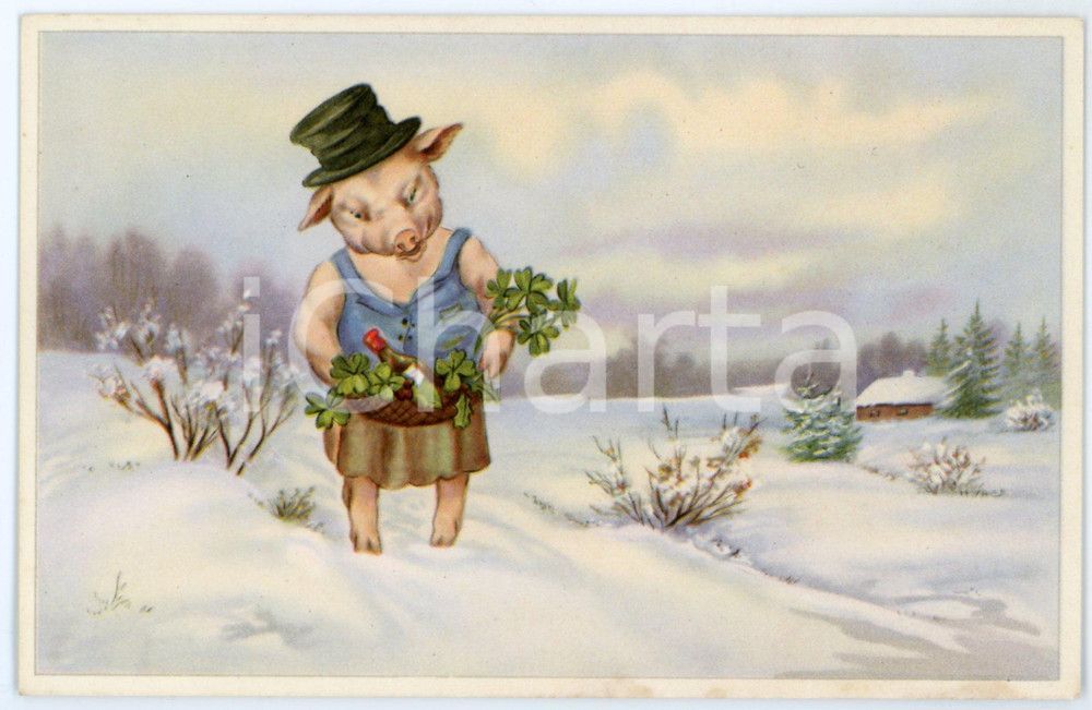 1910 ca ANIMALS Lucky pig with four leaf clover basket *Anthropomorphic postcard  Cartolina postale d'epoca, non viaggiata.CONDIZIONI: GFORMATO: FP    originale e autentica 1