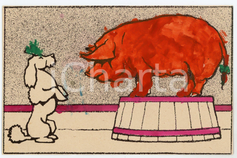1970 ca CIRCUS Pig and poodle - HAND COLOURED - Illustrated Postcard FP NV  Cartolina postale d'epoca, non viaggiata.CONDIZIONI: FAIRFORMATO: FP    originale e autentica 1