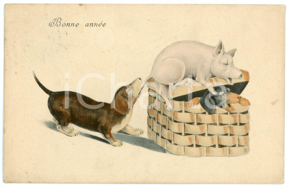 1910 BONNE ANNÃ‰E Dog biting the tail of a lucky pig - Postcard FP VG  Cartolina postale d'epoca, viaggiata.CONDIZIONI: POOR (lieve mancanza all'angolo superiore destro)FORMATO: FP    originale e autentica 1