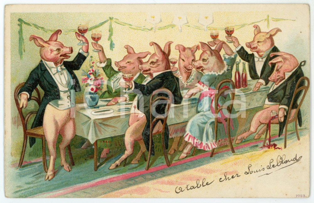 1908 HUMOUR The toast of the pigs - Anthropomorphic - Illustrated Postcard FP VG  Cartolina postale d'epoca, viaggiata.CONDIZIONI: FAIRFORMATO: FP    originale e autentica 1