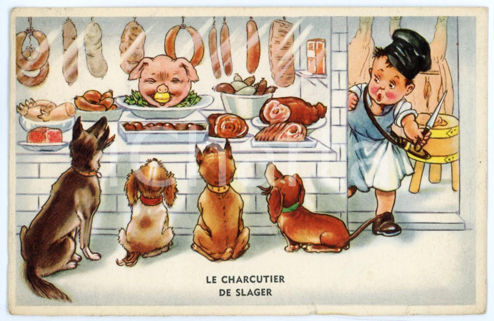 1957 HUMOUR Le charcutier de Slager - Illustrated vintage postcard FP VG  Cartolina postale d'epoca, viaggiata.CONDIZIONI: FAIR (piccolo strappo al margine inferiore)FORMATO: FP    originale e autentica 1