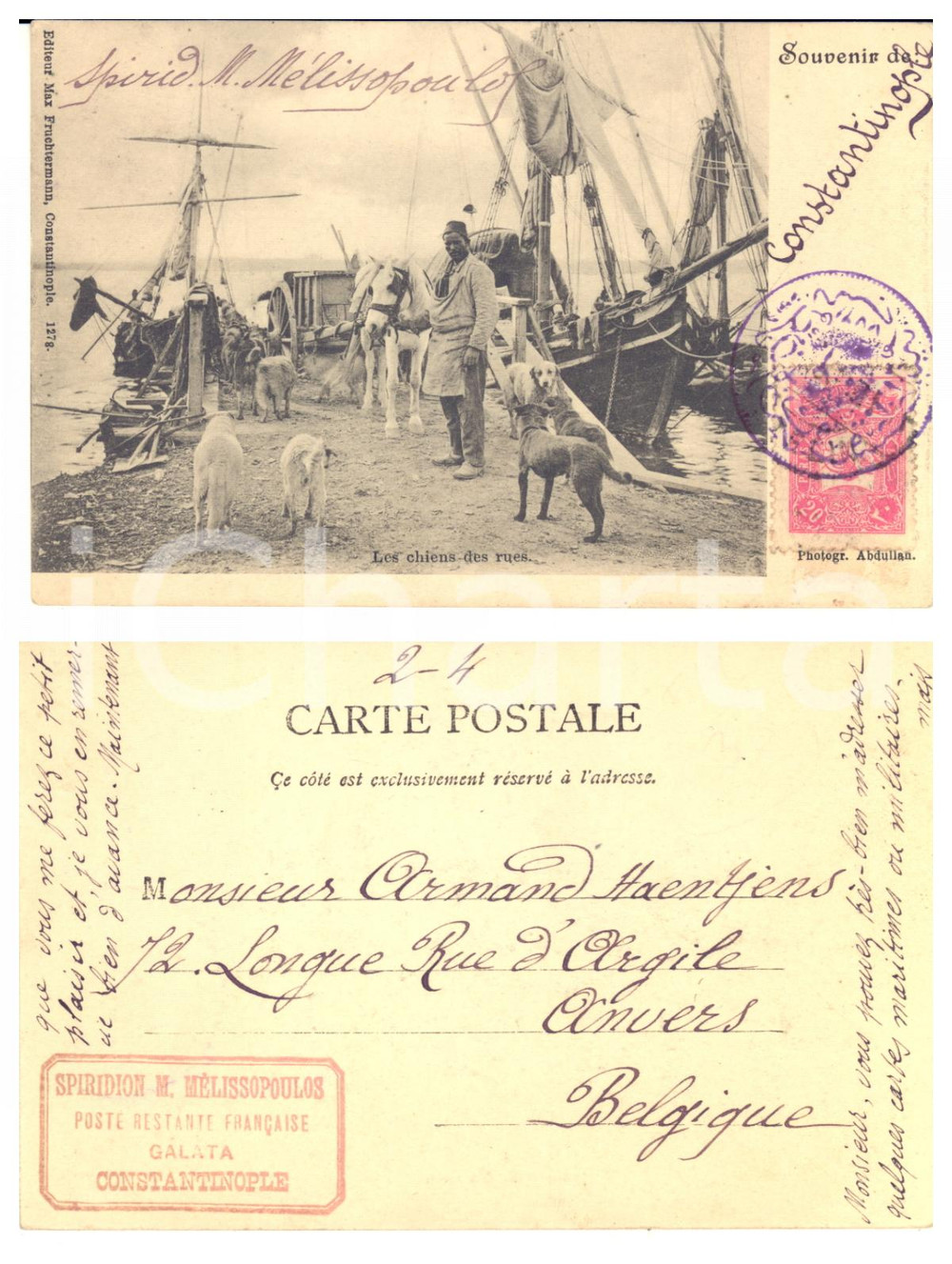 1900 ca CONSTANTINOPLE TURQUIE Chiens de rue - Postcard Spriridion MELISSOPOULOS  Cartolina postale d'epoca, viaggiata, con timbro del mittente.CONDIZIONI: GFORMATO: FP    originale e autentica 1