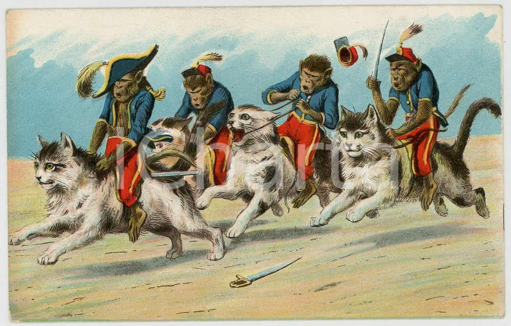 1910 ca ANIMALS Soldier monkeys riding cats - Anthropomorphic Postcard FP NV  Cartolina postale d'epoca, non viaggiata.CONDIZIONI: FAIR (lievi smusstaure agli angoli)FORMATO: FP    originale e autentica 1