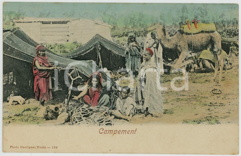 1910 ca NOMADISM TUNIS Campement  - French ANIMATED postcard  Cartolina postale d'epoca, non viaggiata.CONDIZIONI: GFORMATO: FP    originale e autentica 1