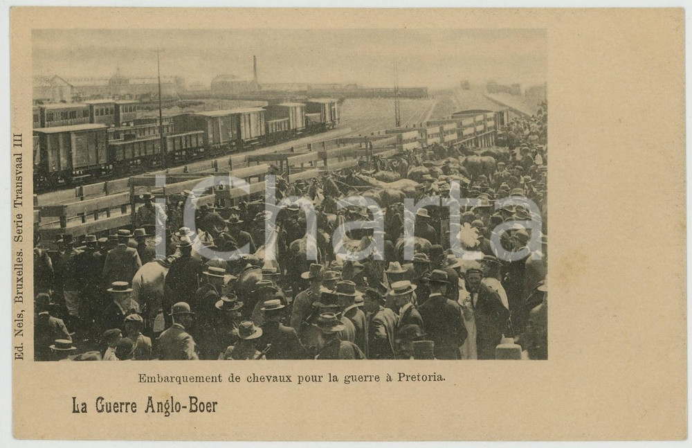 1900ca PRETORIA - GUERRE ANGLO-BOER Embarquement de chevaux - Carte postale FP  Cartolina postale d'epoca, non viaggiata.EDITORE: Ed. Nels, BruxellesCONDIZIONI: FAIRFORMATO: FP    originale e autentica 1