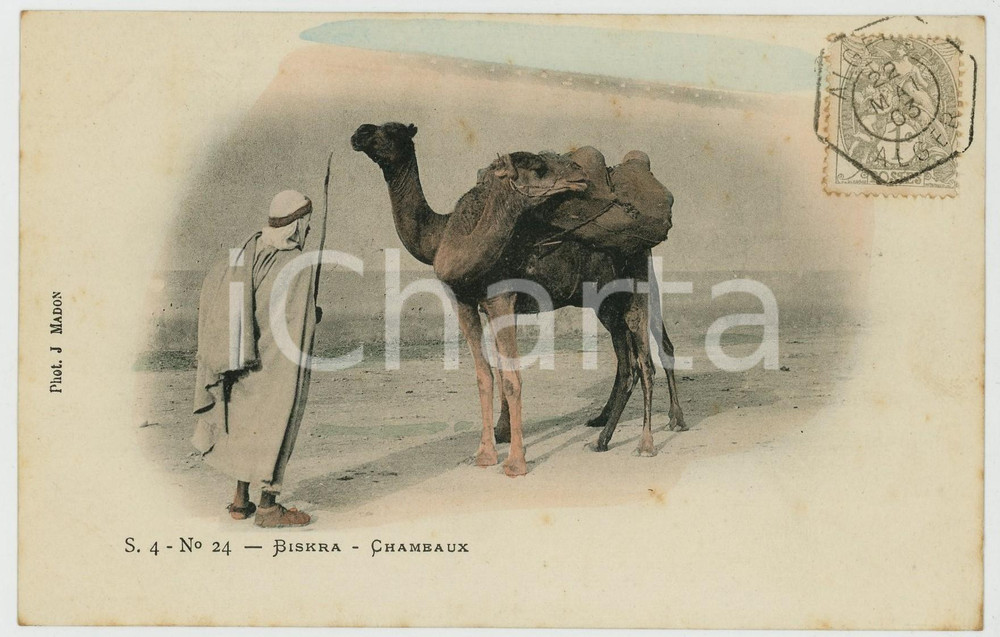 1903 BISKRA - ALGERIE Chambaux - Photo J. MADON Carte postale FP VG  Cartolina postale d'epoca, viaggiata.SERIE: S. 4 - No. 24CONDIZIONI: FAIRFORMATO: FP    originale e autentica 1