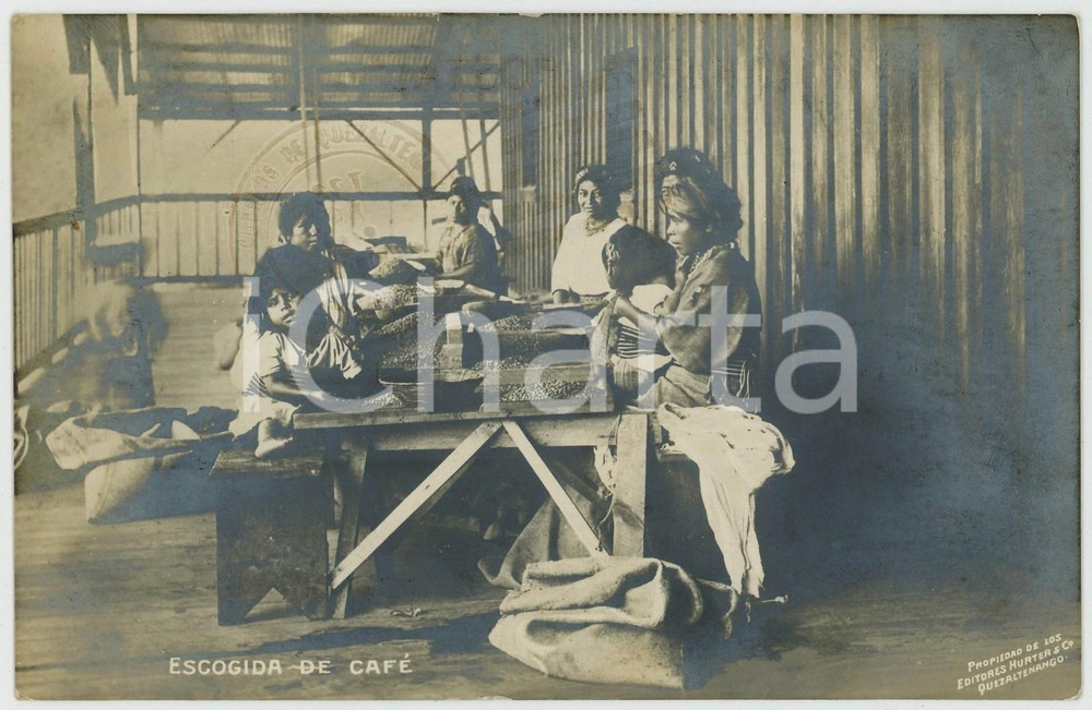1912 GUATEMALA Escogida de café  - Tarjeta postal ed. HURTER QUEZALTENANGO  Cartolina postale d'epoca, viaggiata (ma francobollo asportato).CONDIZIONI: GFORMATO: FP    originale e autentica 1