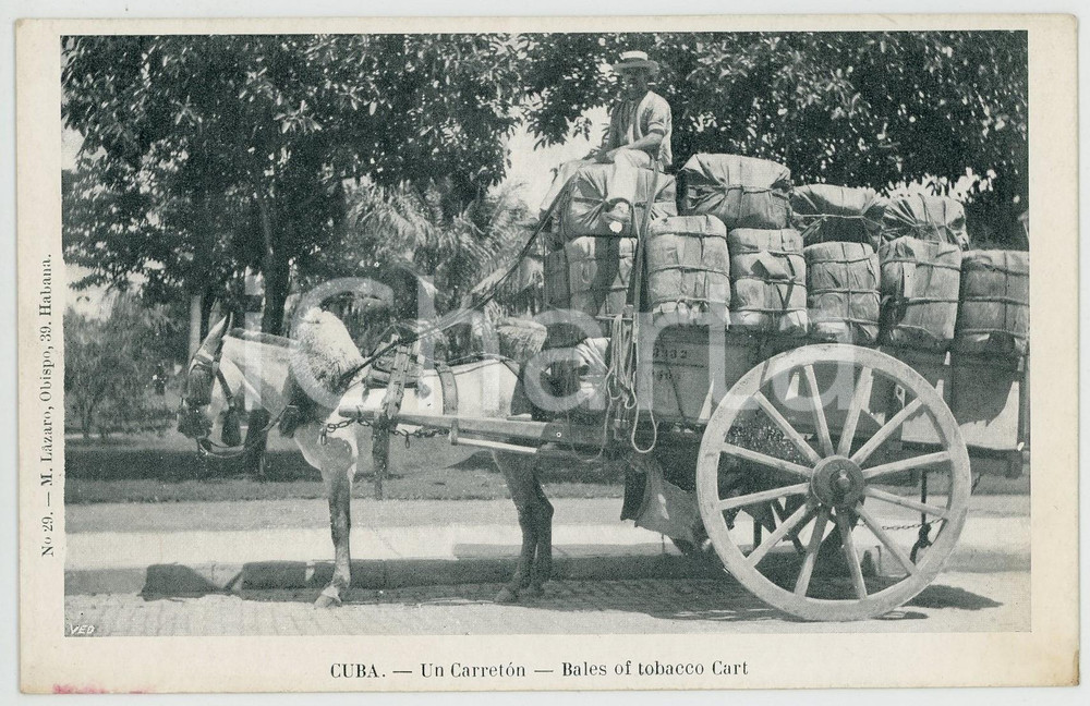 1900 ca CUBA Un Carreton - Bales of tobacco cart - ANIMATED Postcard  Cartolina postale d'epoca, non viaggiata.CONDIZIONI: GFORMATO: FPEDITORE: M. Lazaro - Habana    originale e autentica 1
