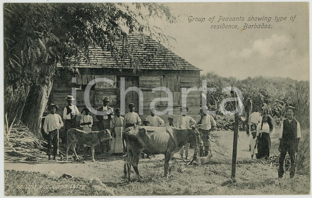 1911 BARBADOS Group of peasants showing type of residence *Postcard TYPES ETHNIC  Cartolina postale d'epoca, viaggiata.CONDIZIONI: GFORMATO: FP    originale e autentica 1