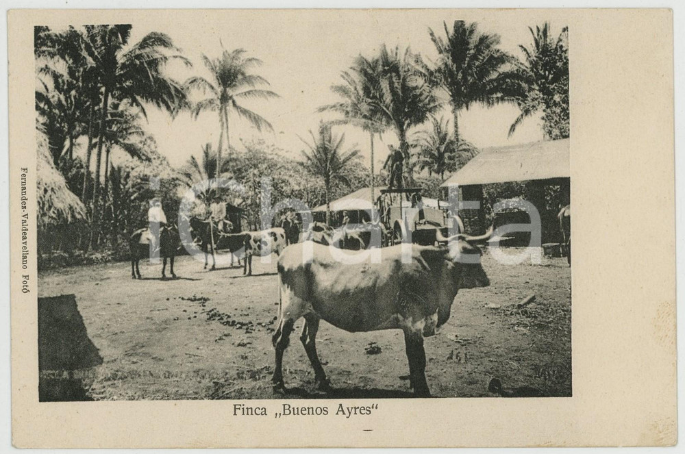 1905 ca Republica de GUATEMALA Finca "Buenos Ayres" - Tarjeta postal original  Cartolina postale d'epoca, non viaggiata.CONDIZIONI: G FORMATO: FP    originale e autentica 1