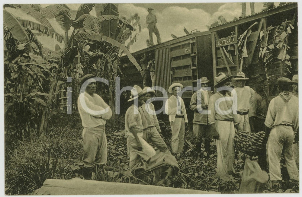 1920 ca GUATEMALA Loading banana in Virginia - Original ANIMATED postcard  Cartolina postale d'epoca, non viaggiata.CONDIZIONI: G FORMATO: FP    originale e autentica 1