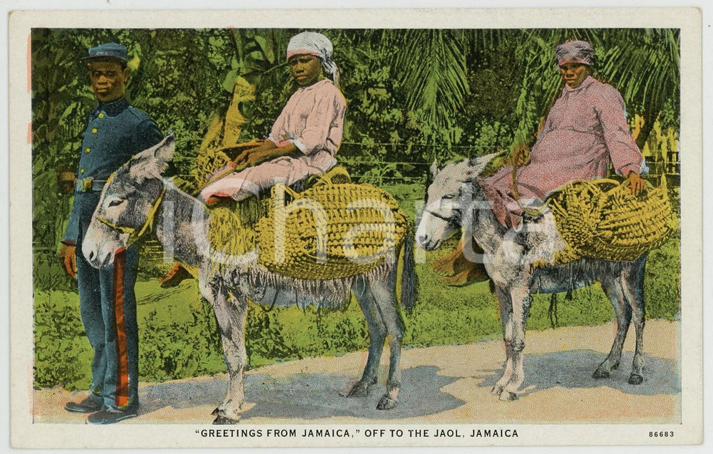 1920 ca JAMAICA Off to The Jaol- ANIMATED old chromo postcard  Cartolina postale d'epoca, non viaggiata.CONDIZIONI: G FORMATO: FP    originale e autentica 1