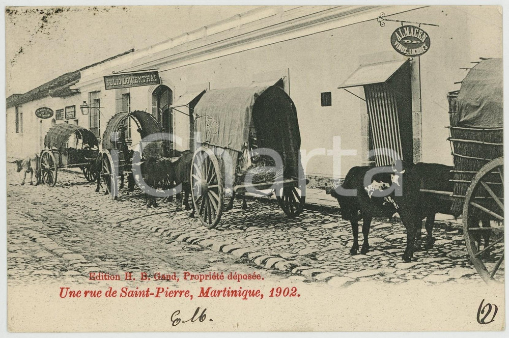 1902 SAINT-PIERRE (MARTINIQUE) Une rue - Carte postale calèches Julio LOWENTHAL  Cartolina postale d'epoca, viaggiata.CONDIZIONI: G FORMATO: FP    originale e autentica 1