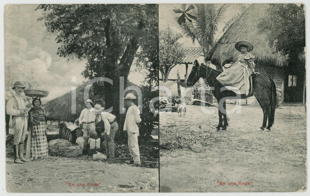 1910 ca SAN SALVADOR En una finca - Tarjeta postal ANIMATA TYPES ETHNIC  Cartolina postale d'epoca, scritta ma non viaggiata.CONDIZIONI: G (minime mancanze marginali; piccole piegature angolari)FORMATO: FP    originale e autentica 1