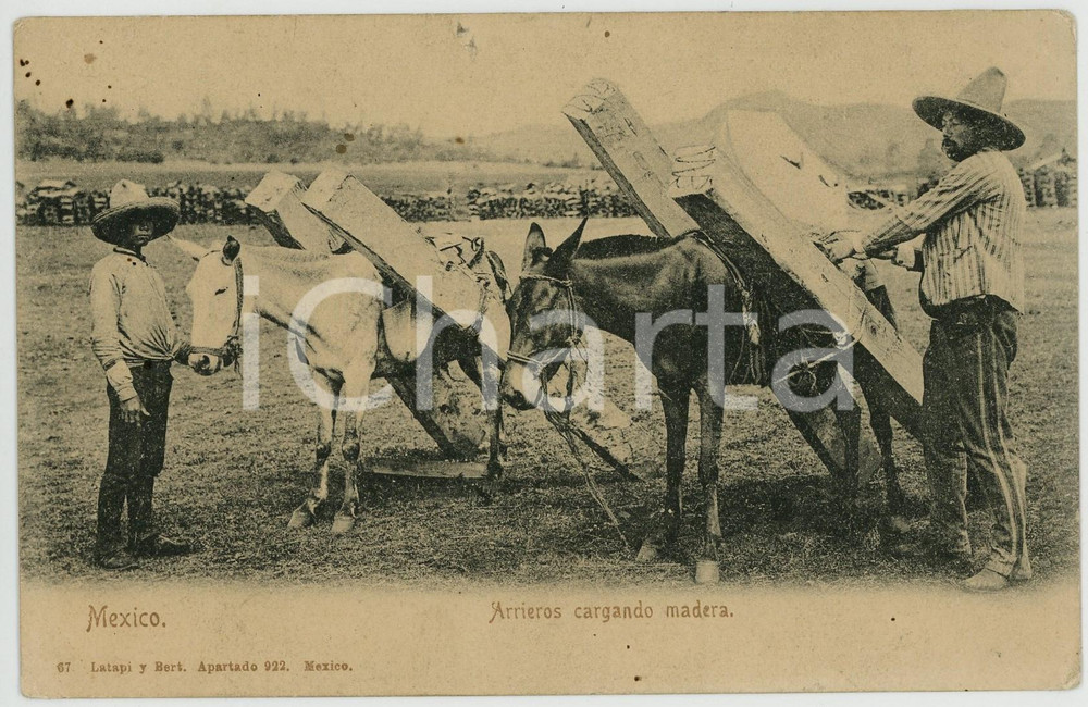 1910 ca MEXICO Arrieros cargando madera - Tarjeta postal antigua ANIMADA  Cartolina postale d'epoca, non viaggiata.CONDIZIONI: FAIR (due minimi fori al lato superiore e lievi fioriture)FORMATO: FP    originale e autentica 1