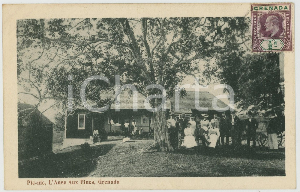 1904 L'ANSE AUX PINES (GRENADA) Pic-nic - ANIMATED Postcard  Cartolina postale d'epoca, viaggiata.CONDIZIONI: GFORMATO: FP    originale e autentica 1