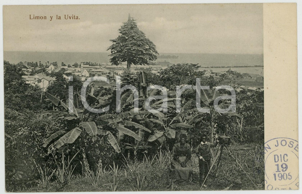 1905 COSTA RICA - LIMÓN y LA UVITA - Tarjeta postal antigua Cartolina postale d'epoca, non viaggiata.Timbro datario al recto.CONDIZIONI: GFORMATO: FP    originale e autentica 1