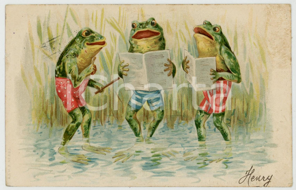 1904 ANIMALS Frog singers in swimsuit in the pond - Anthropomorphic postcard  Cartolina postale d'epoca, viaggiata.CONDIZIONI: F (piccolo strappo al lato sinistro e lievi smussature angolari)FORMATO: FP    originale e autentica 1