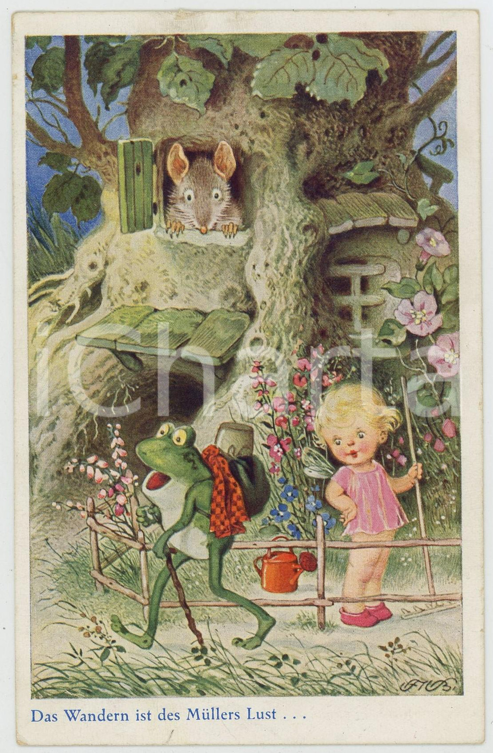 1936 ANIMALS Das Wandern ist des Müllers Lust - Frog and baby fairy - Postcard  Cartolina postale d'epoca, viaggiata (ma francobollo asportato).CONDIZIONI: F (sbrecciature al margine superiore; lieve piegatura al lato inferiore)FORMATO: FP    originale e autentica 1