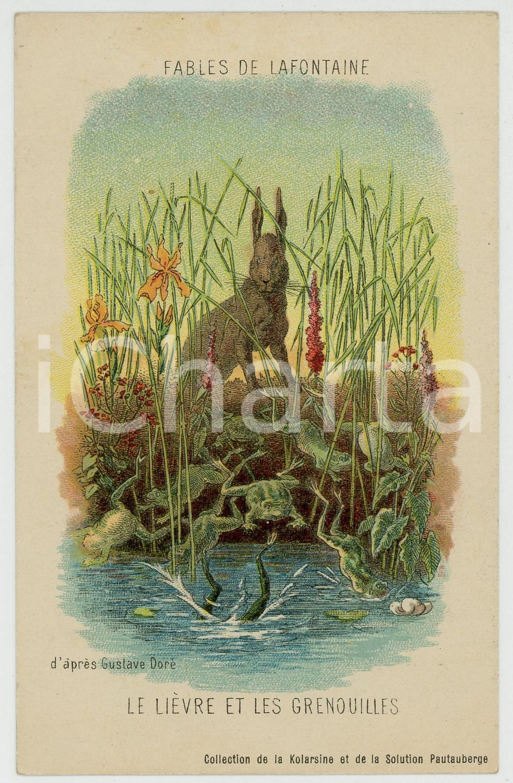 1910 ca LA FONTAINE Le lièvre et les grenouilles - ill. Gustave DORÉ *Postcard  Cartolina postale d'epoca, non viaggiata.Indicazione pubblicitaria al recto "Collection de la Kolarsine et de la Solution Pautauberge".CONDIZIONI: F (piegatura al lato inferiore)FORMATO: FP    originale e autentica 1