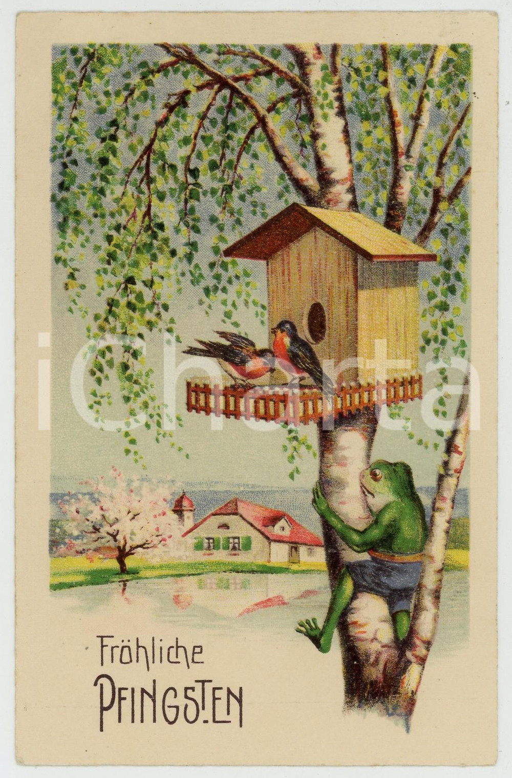 1931 FRÖHLICHE PFINGSTEN Frog on tree with two robins - Vintage postcard  Cartolina postale d'epoca, viaggiata.CONDIZIONI: F (lievi piegature orizzontali nella parte inferiore)FORMATO: FP    originale e autentica 1
