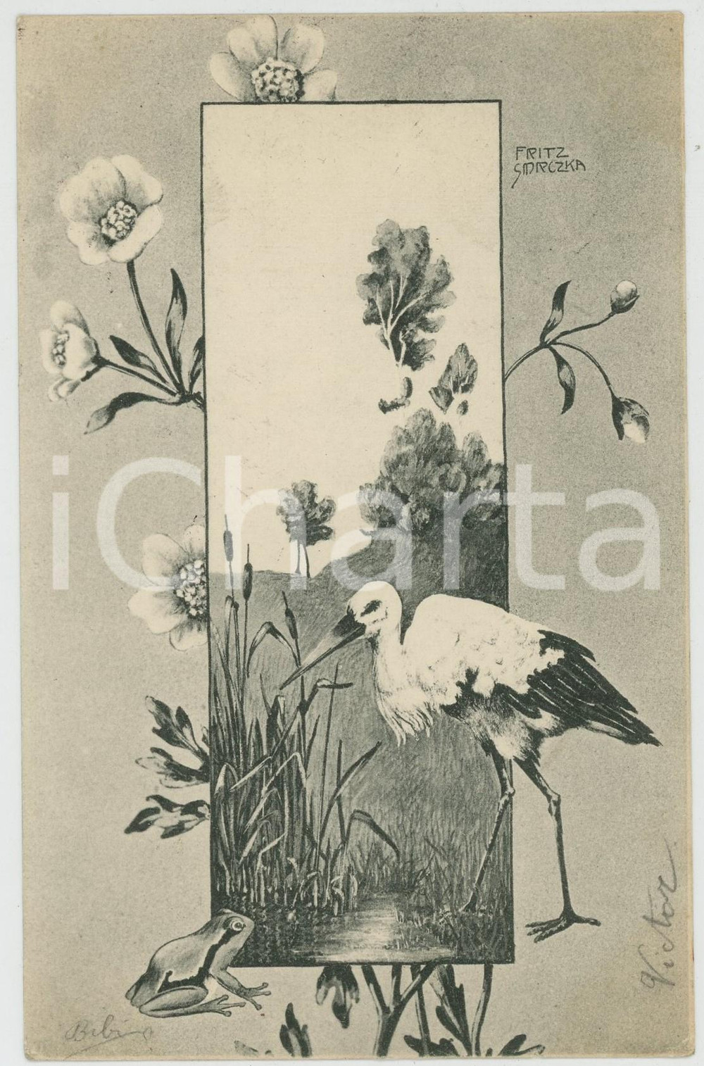 1903 Artist Fritz SMRCZKA Pelican and frog - Illustrated Postcard  Cartolina postale d'epoca, viaggiata.CONDIZIONI: G FORMATO: FP    originale e autentica 1