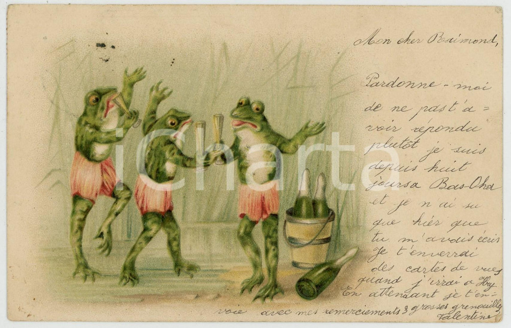1899 ANIMALS Party - Frogs drinking champagne - Anthropomorphic vintage postcard  Cartolina postale d'epoca, viaggiata.CONDIZIONI: G (lievi macchie di inchiostro al recto; lievi smussature angolari)FORMATO: FP    originale e autentica 1