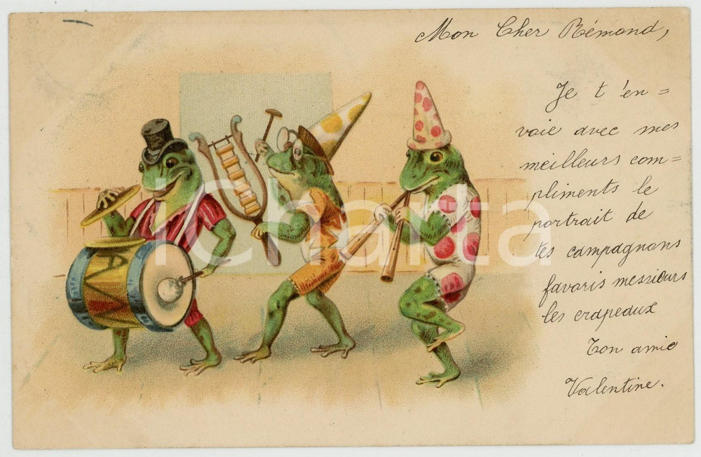 1900 ANIMALS Concert - Frogs band - Anthropomorphic vintage postcard  Cartolina postale d'epoca, viaggiata.CONDIZIONI: GFORMATO: FP    originale e autentica 1