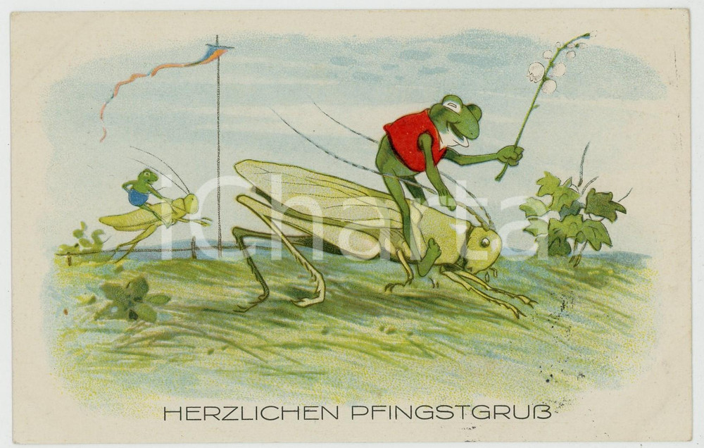 1933 HERZLICHEN PFINGSTRUΒ Frogs race on locusts - Anthropomorphic postcard  Cartolina postale d'epoca, viaggiata.CONDIZIONI: GFORMATO: FP    originale e autentica 1