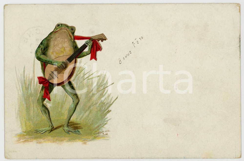 1904 BONNE FÊTE Concert - Frog playing mandolino - Anthropomorphic postcard  Cartolina postale d'epoca, viaggiata.CONDIZIONI: F (lievi macchie al recto; minima abrasione all'angolo superiore destro e al lato superiore)FORMATO: FP    originale e autentica 1
