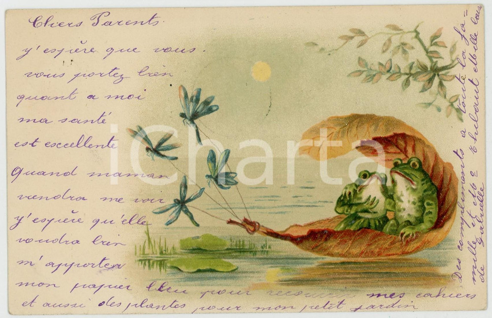 1900 ANIMALS Frog lovers inside a leaf - Anthropomorphic vintage postcard  Cartolina postale d'epoca, viaggiata.CONDIZIONI: GFORMATO: FP    originale e autentica 1