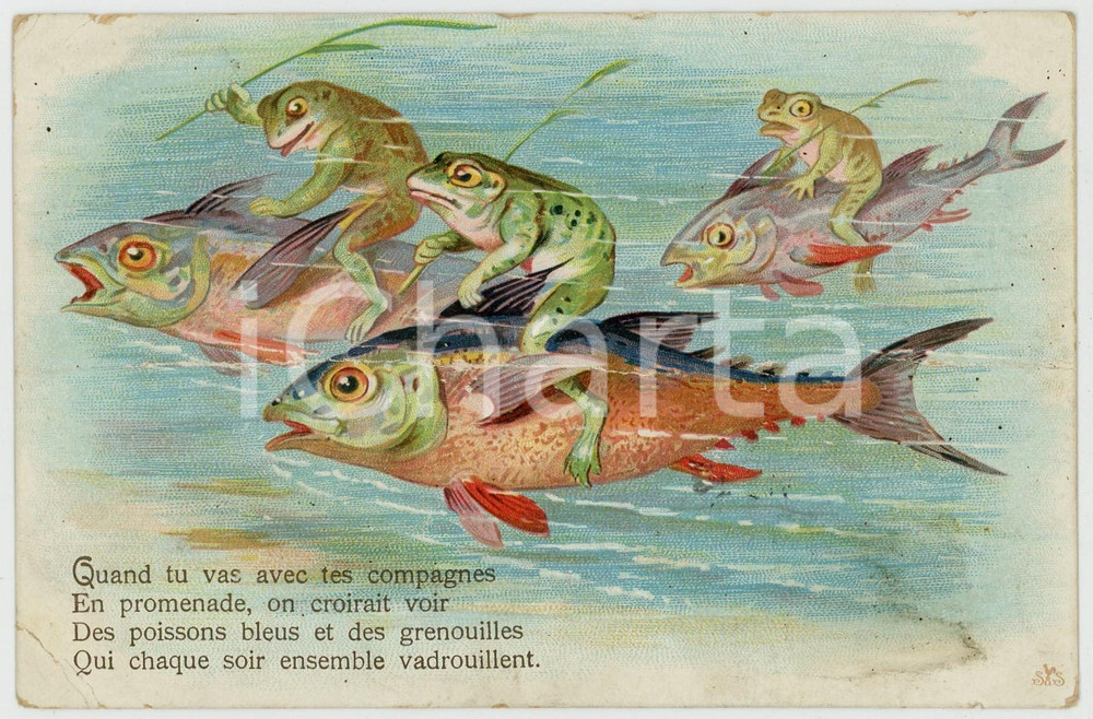 1905 ANIMALS Frogs walk riding fishes - Old vintage postcard  Cartolina postale d'epoca, viaggiata.CONDIZIONI: VP (profonde pieghe diffuse; macchie; abrasioni ai margini)FORMATO: FP    originale e autentica 1