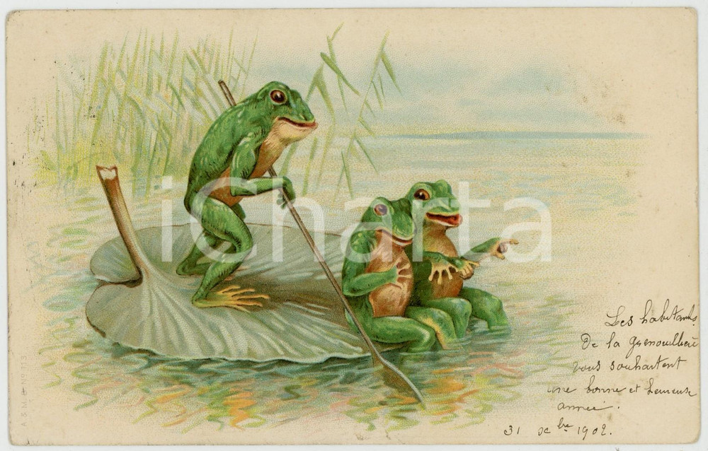 1902 ANIMALS Frogs boating on a lily leaf - Anthropomorphic vintage postcard  Cartolina postale d'epoca, viaggiata.CONDIZIONI: F (piegature angolari)FORMATO: FP    originale e autentica 1