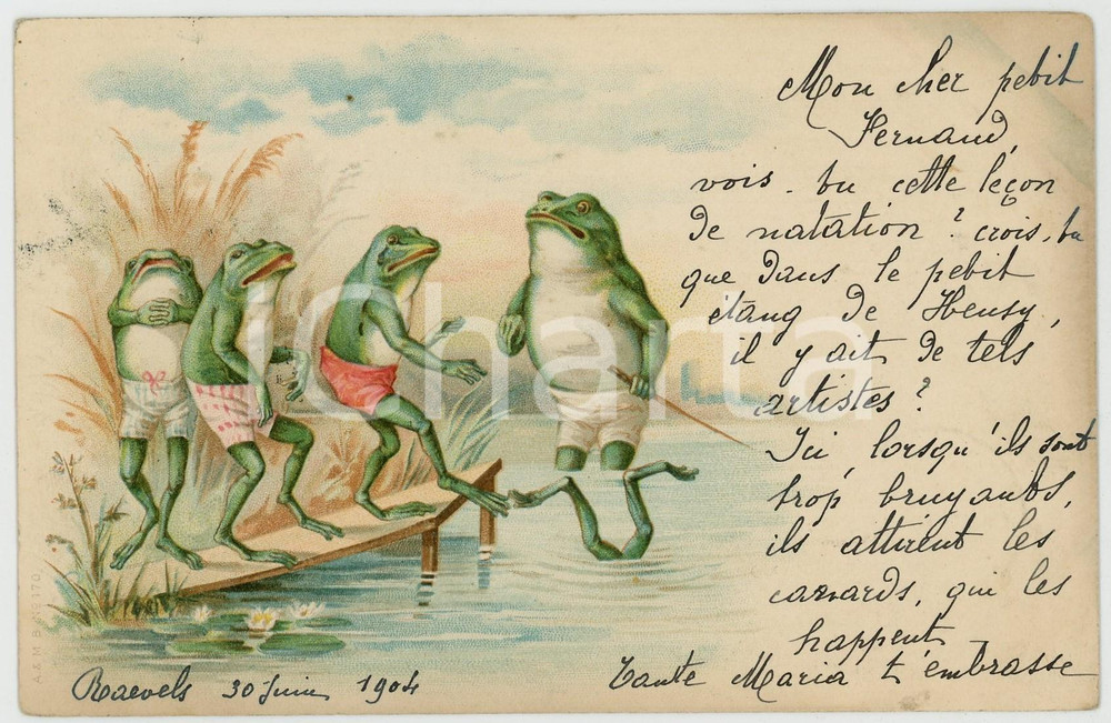 1904 ANIMALS Diving lesson in the pond - Frogs *Anthropomorphic vintage postcard  Cartolina postale d'epoca, viaggiata.CONDIZIONI: GFORMATO: FP    originale e autentica 1