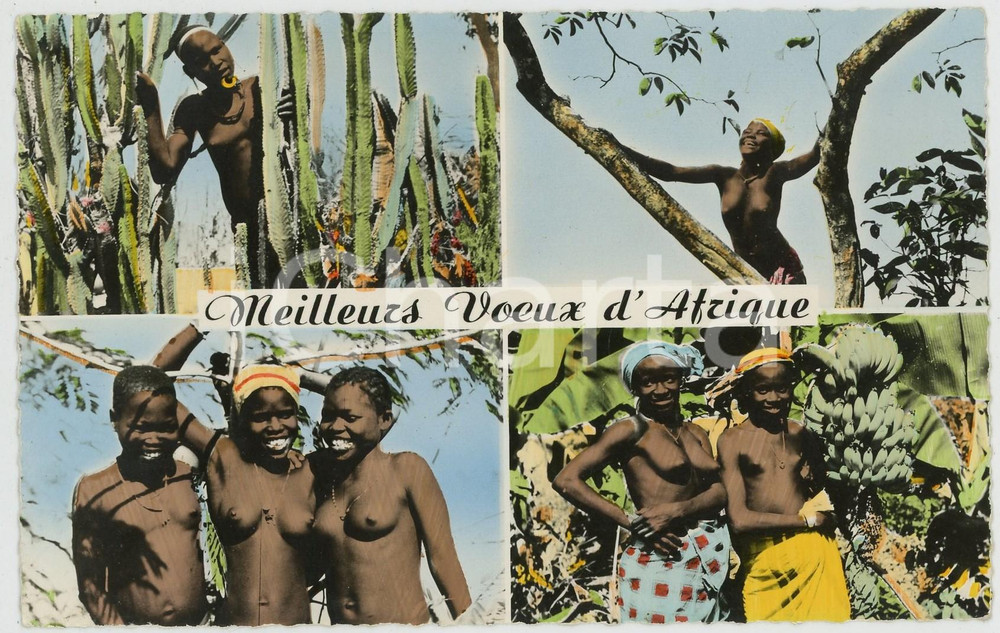 1950ca MEILLEURS VOEUX D'AFRIQUE Jeunes femmes NU ETHNIQUE Carte postale FP NV  Cartolina postale d'epoca, non viaggiata ma con nota manoscritta al verso.EDIZIONE: Librairie Au Messager, DoualaCONDIZIONI: FAIRFORMATO: FP    originale e autentica 1