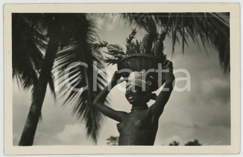 1950 DIVO - CÔTE D'IVOIRE Femme Baoulé NU ETHNIQUE Carte postale FP VG  Cartolina postale d'epoca, viaggiata.EDIZIONI: Pociello Librairie G&eacute;n&eacute;rale, Abidjan / Clich&eacute; Reynes - Albi CONDIZIONI: FAIR (lieve graffio al margine superiore)FORMATO: FP    originale e autentica 1