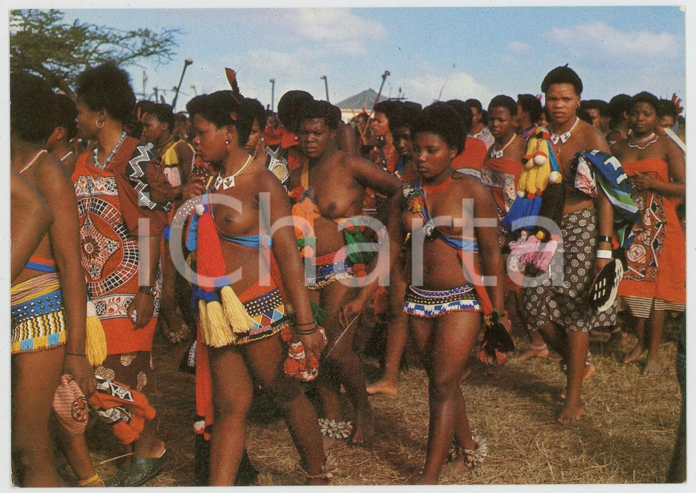 1970ca SWAZILAND - AFRICA Womenfolk at ceremonial gathering ETHNIC NUDE Postcard  Cartolina postale d'epoca, non viaggiata.CONDIZIONI: FAIR FORMATO: FG    originale e autentica 1