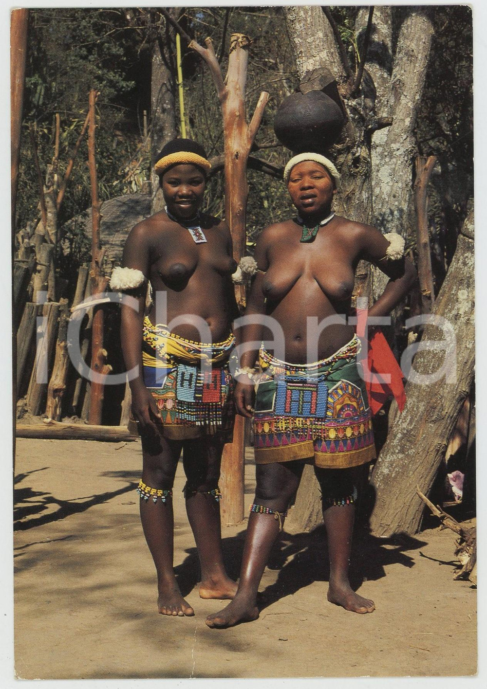 1985ca NATAL - SOUTH AFRICA Zulu maids in traditional dress ETHNIC NUDE Postcard  Cartolina postale d'epoca, viaggiata.EDIZIONE: Topic Photography - CamperdownFOTOGRAFIA: G. CoulonCONDIZIONI: POOR (piegatura centrale, abrasione al verso dovuta alla rimozione dell'affrancatura)FORMATO: FG    originale e autentica 1