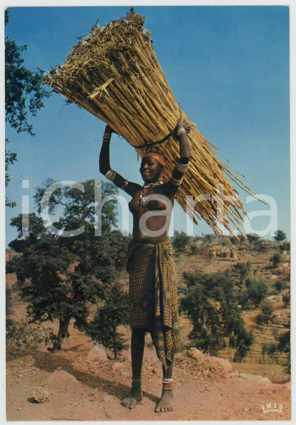 1970ca L'AFRIQUE EN COULEURS Porteuse de fagots NU ETHNIQUE Carte postale FG NV  Cartolina postale d'epoca, non viaggiata ma con nota manoscritta al verso.EDITORE: IrisCONDIZIONI: FAIRFORMATO: FG    originale e autentica 1