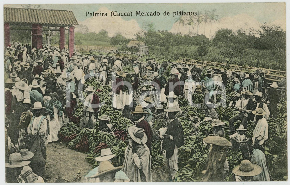 1920 PALMIRA (CAUCA, COLOMBIA) Mercado de platanos - ANIMATED vintage postcard Cartolina postale d'epoca, viaggiata.CONDIZIONI: GFORMATO: FP    originale e autentica 1