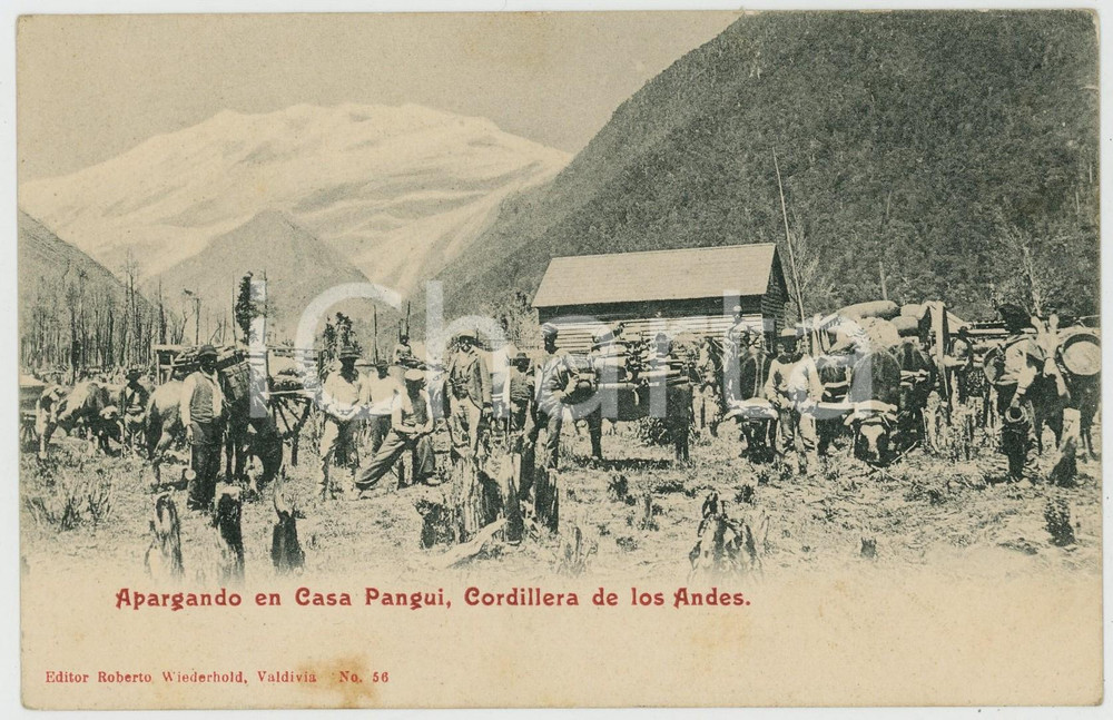 1900 ca CHILE Cordillera ANDES Apargando en CASA PANGUI - Tarjeta postal ANIMADA Cartolina postale d'epoca, non viaggiata.CONDIZIONI: G (piccola macchia al lato inferiore)FORMATO: FP    originale e autentica 1