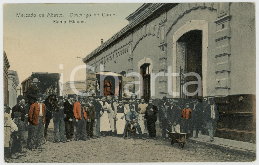 1910 ca BAHIA BLANCA (ARGENTINA) Mercado de abasto - Descargo de carne *Postcard Cartolina postale d'epoca, stampata in cromolitografia, non viaggiata.CONDIZIONI: GFORMATO: FP    originale e autentica 1