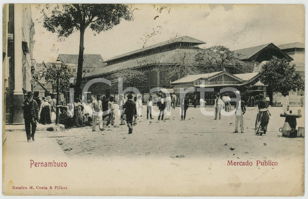 1909 PERNAMBUCO (BRAZIL) Mercado publico - ANIMATED vintage postcard Cartolina postale d'epoca, viaggiata.CONDIZIONI: G    originale e autentica 1