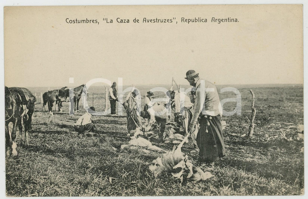1910 ca COSTUMBRES ARGENTINA La Caza de Avestruzes - Tarjeta postal Cartolina postale d'epoca, non viaggiata.CONDIZIONI: GFORMATO: FPEDITORE: Carmelo Ibarra - Buenos Aires    originale e autentica 1