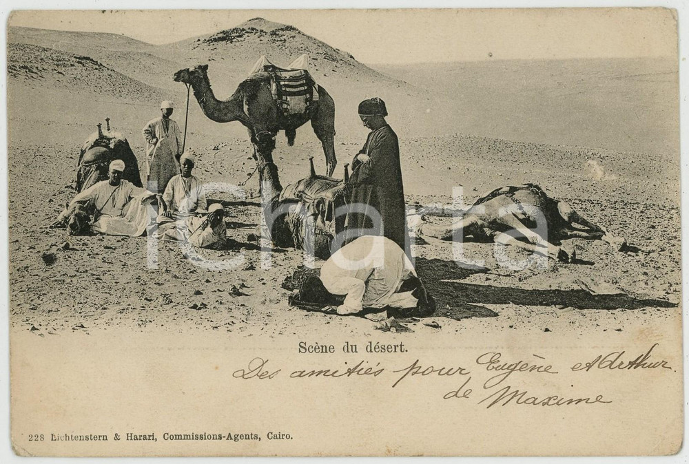 1906 EGYPTE - AFRIQUE Scène du désert - Carte Postale FP VG  Cartolina postale d'epoca, viaggiata.CONDIZIONI: FAIR (piegature e smussature agli angoli))FORMATO: FP    originale e autentica 1