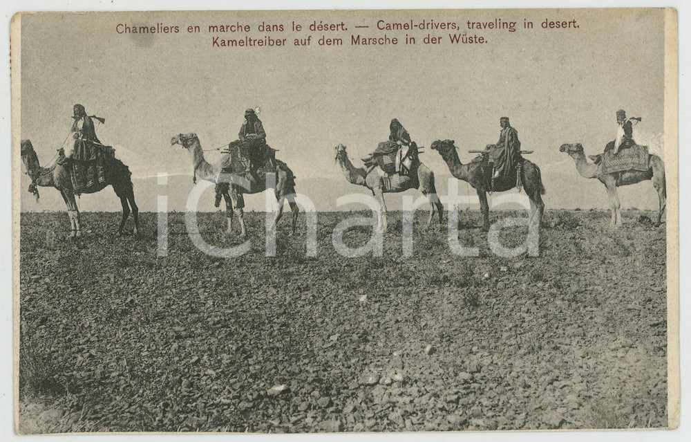 1920 ca AFRICA Camel-drivers traveling in desert - Postcard FP VG  Cartolina postale d'epoca, viaggiata.CONDIZIONI: FAIR (lievi smussature agli angoli, piegatura all'angolo inferiore destro e alone al margine superiore)FORMATO: FP    originale e autentica 1