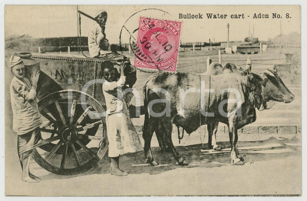1910 ADEN (YEMEN) Bullock Water cart - Old postcard ETHNIC TYPES  Cartolina postale d'epoca, viaggiata.CONDIZIONI: GFORMATO: FP    originale e autentica 1