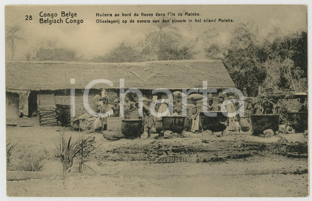 1909 CONGO BELGE Huilerie au bord du fleuve dans l'ile de MALEBA *Carte postale  Cartolina postale d'epoca, viaggiata.CONDIZIONI: GFORMATO: FP    originale e autentica 1